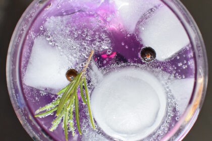 gin tonic infused with rosemary