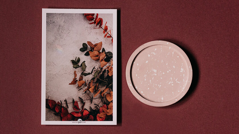 a photograph of a plant and a blank coaster